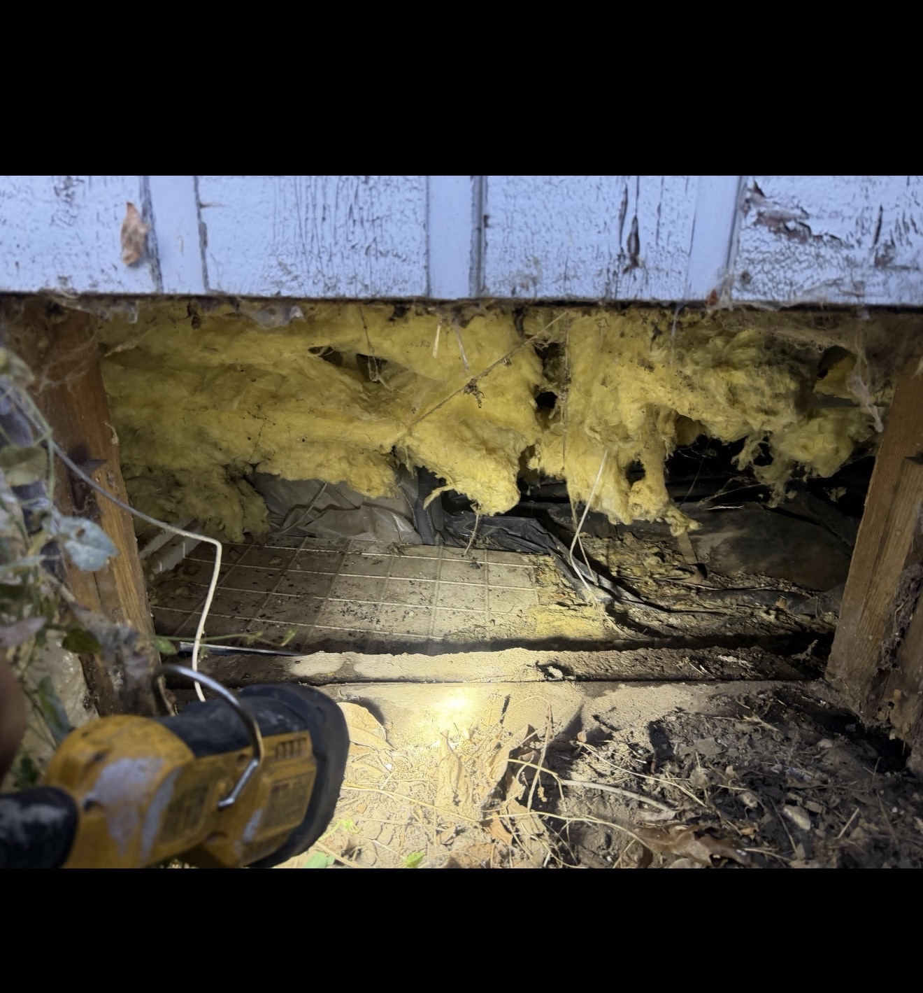 National Restoration Construction — recent Federal Way restoration job