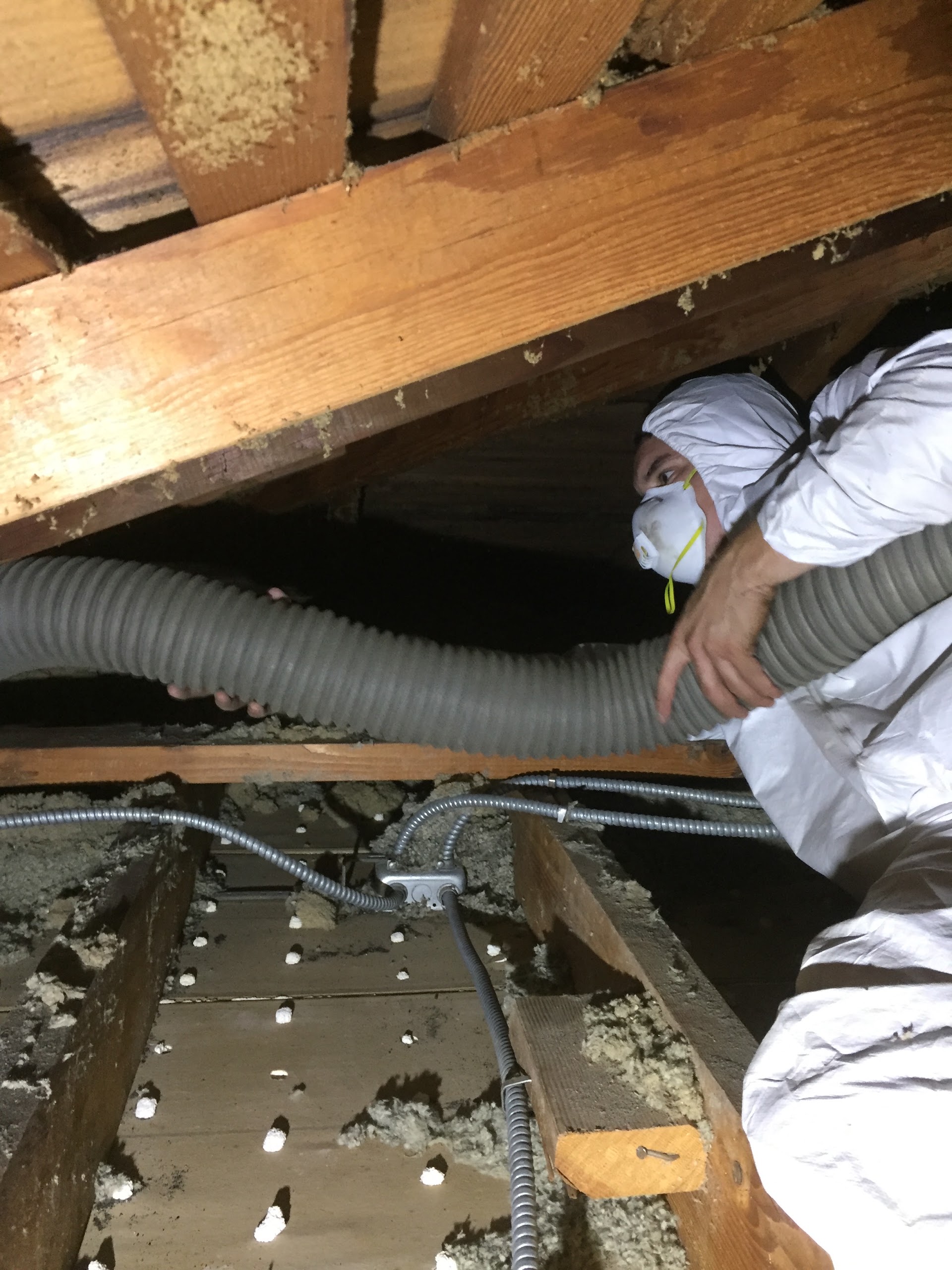 Job site photo from ProRestoration Services