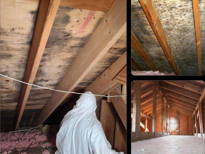 The Restoration Group — recent Kenilworth restoration job