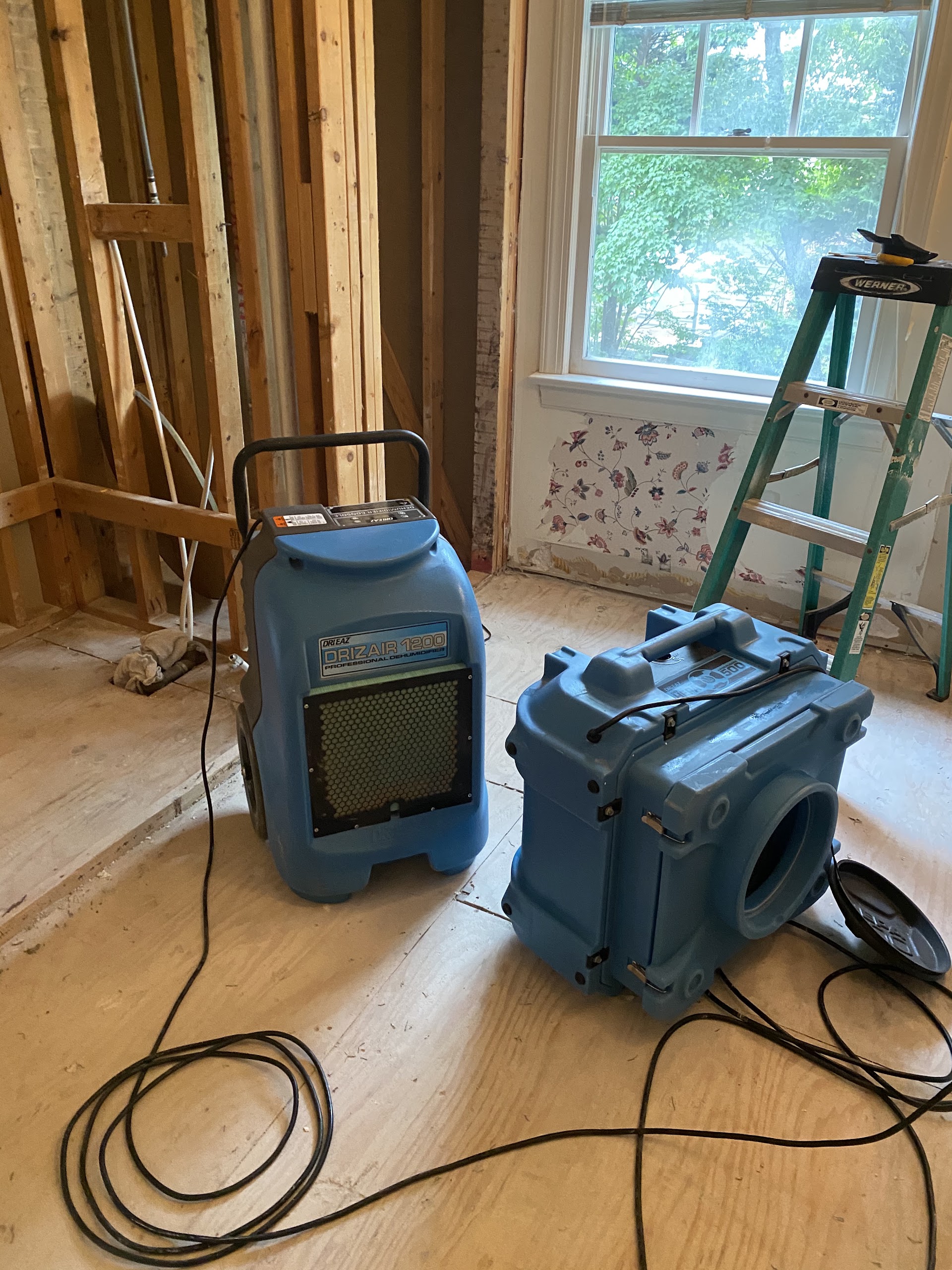 Go Green Restoration of NC — recent Middlesex job